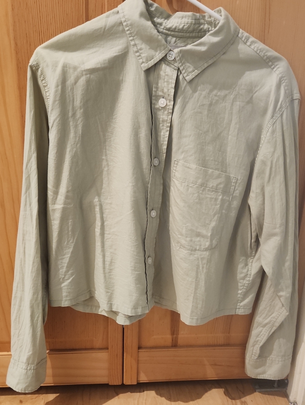 Everlane Way Short Button Down Shirt Womens Medium Light Green Cropped